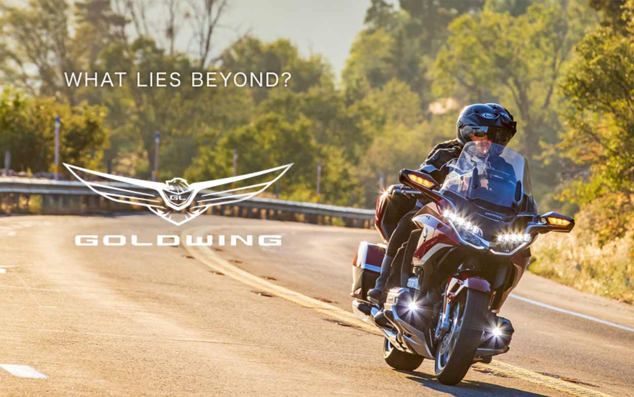 Shining Wing - Night of Gold Wing Owners